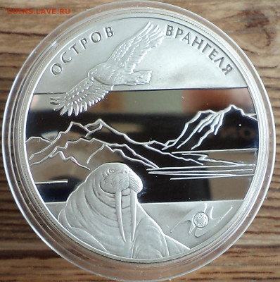 3 рубля 2012 г. Остров Врангеля, до 12.07.2023 г. в 22.00 по - DSC06805.JPG
