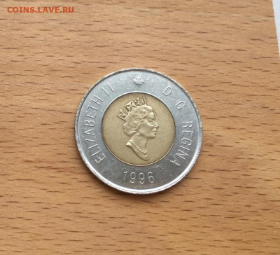 биметалл Канада 2$ доллара 1996 Белый полярный медведь фауна - bimetall_kanada_2_dollara_1996_belyj_poljarnyj_medved_fauna_zhivotnye (1)