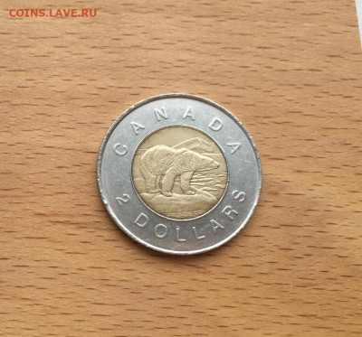 биметалл Канада 2$ доллара 1996 Белый полярный медведь фауна - bimetall_kanada_2_dollara_1996_belyj_poljarnyj_medved_fauna_zhivotnye