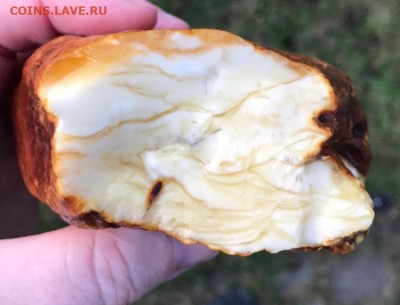 Куплю: Янтарь,Иконы,Будды ,Бакелит,Коралл,Вазы Китай - IMG_20211102_234329