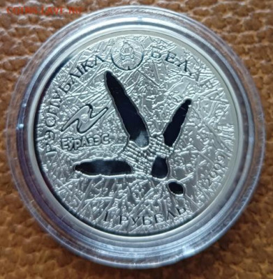 Беларусь 1 рубль 2009 года. Белый аист. - IMG20230511121415