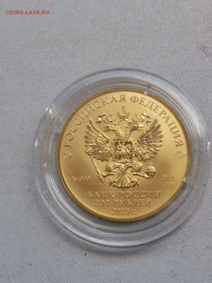 Золото Победоносец 100 рублей 2023 ММД до 12.07 22.00 - IMG_20230711_121322