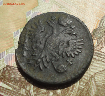 Денга 1734 года. До 14.07.23. - DSC05275.JPG