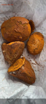 Куплю желчь КРС - IMG-20230711-WA0012