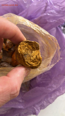 Куплю желчь КРС - IMG-20230711-WA0014