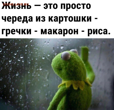юмор - Жиза