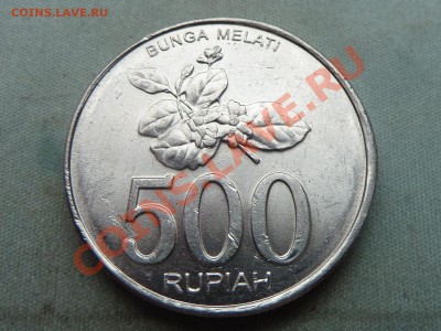 Конкурс «Veni Vedi Vici» - MEMO0021.JPG