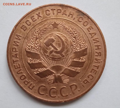 5 копеек 1924 домашняя, с остатками блес с 200р - IMG_2149