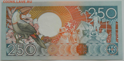 Суринам 250 гульденов 1988 г. до 25.07.23 - DSCN4297.JPG