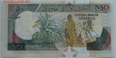 Сомали 50 шиллингов 1991 г. до 26.07.23 - DSCN4272.JPG