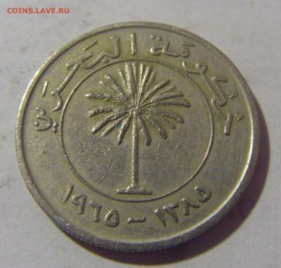 50 филс 1965 Бахрейн №1 28.07.23 22:00 М - CIMG4136.JPG