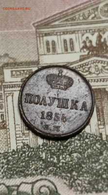 Подушка 1854 ЕМ до 29.07.2023 в 22:00 - IMG_20230726_201208