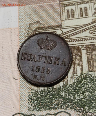 Подушка 1854 ЕМ до 29.07.2023 в 22:00 - IMG_20230726_201130