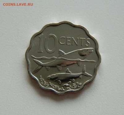 Багамские острова 10 центов 2010 г. (Фауна) до 02.08.23 - DSCN1695.JPG