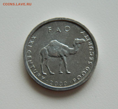 Сомали 10 шиллингов 2000 г. (ФАО) Фауна до 02.08.23 - DSCN1662.JPG