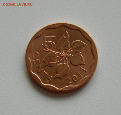 Свазиленд 5 центов 2011 г.  до  02.08.23 - DSCN1743.JPG