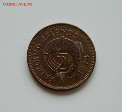 2 пенни 1974 г. (Фауна) до 02.08.23 - DSCN3561.JPG