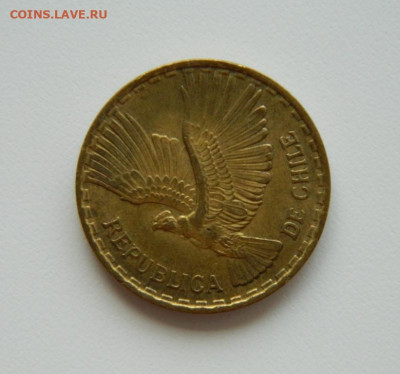 Чили 10 сентесимо 1964 г. (Кондор). до 02.08.23 - DSCN3545.JPG