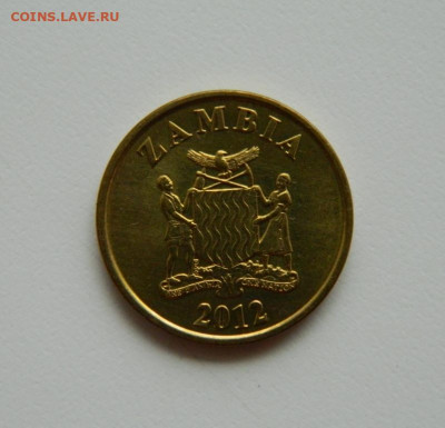 Замбия 10 нгве 2012 г.(Фауна) до 03.08.23 - DSCN4598.JPG