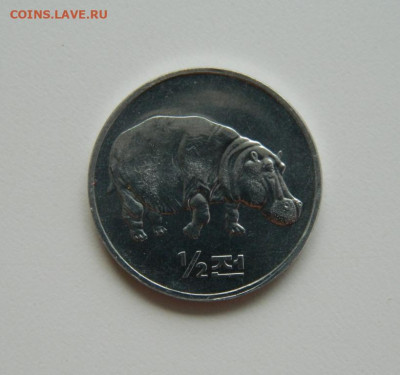 2 чон 2002 г.(Юбилейная)Бегемот до 03.08.23 - DSCN4564.JPG