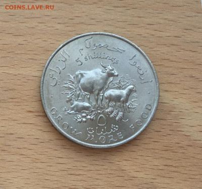 Крона Шайба Сомали 5 шиллингов 1970 ФАО Корова коза овца - krona_shajba_somali_5_shillingov_1970_fao_korova_koza_ovca_fauna_zhivotnye