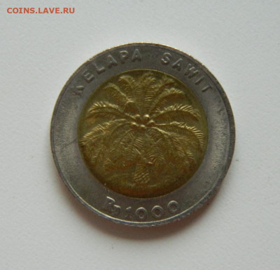 Индонезия 1000 рупий 2000 г. (БИМ) до 03.08.23 - DSCN4690.JPG