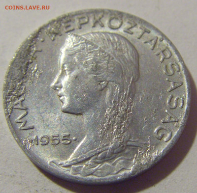 5 филлеров 1955 Венгрия №3 04.08.2023 22:00 МСК - CIMG6017.JPG