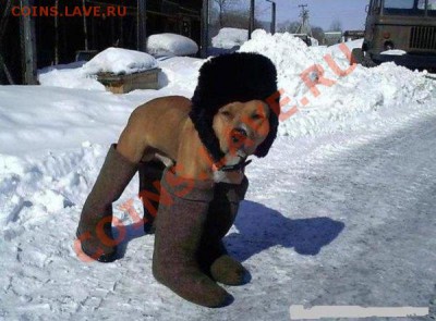 делает - прямо сейчас !!! - 13