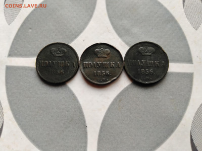 3 полушки 1856 ем до 04.08.2023 - 3пол