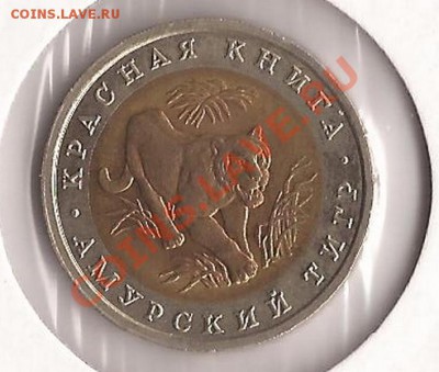 Красная книга ( Амурский тигр ) до 29.12.11 в 22.00 - Scan 180