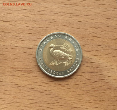 биметалл Россия 10 рублей 1992 Краснозобая Казарка Красная к - bimetall_rossija_10_rublej_1992_krasnozobaja_kazarka_krasnaja_kniga_zhivotnye_fauna_ptica