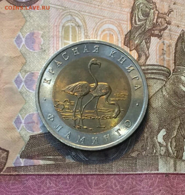 50 рублей 1994 Красная книга Фламинго до 04.08 - 102