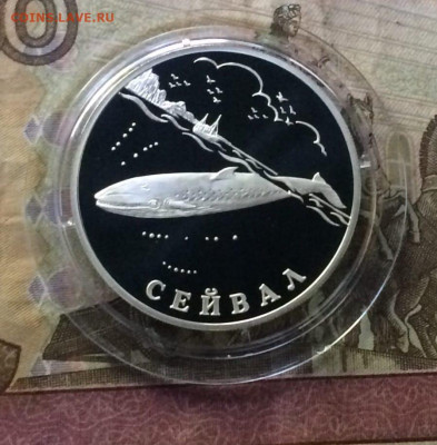 1 рубль 2002 года Сейвал Пруф Красная книга до 04.08 - 46