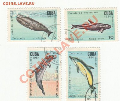 Обмен марок на монеты (пополняемая) - Scan-111225-0005