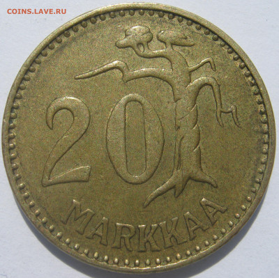  сосна 11.8 - IMG_6366.JPG