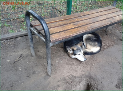 ФОТО - просто фото. Те что получились удачными. - 2023-07-22==03
