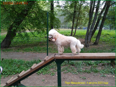 ФОТО - просто фото. Те что получились удачными. - 2023-08-04
