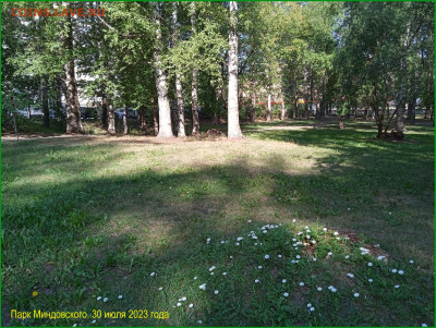 ФОТО - просто фото. Те что получились удачными. - 2023-07-30 Парк (6)