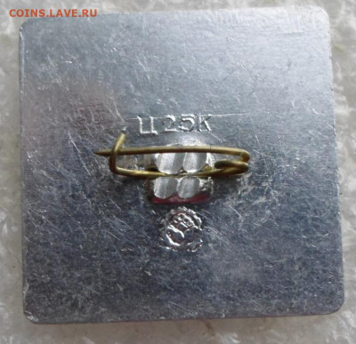 Разные по 100р. до 13.08 - SAM_7624.JPG