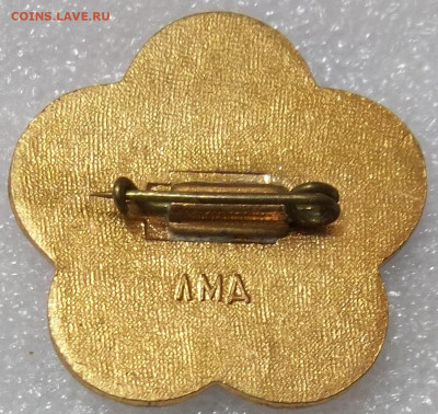 Ромашка"за Мир и Дружбу" ЛМД т. м. 18.08.23. 22:00 МСК - 100_6771.JPG