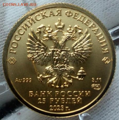 25 Рублей 2023 Победоносец 3,11 гр 999пр (5 мон) до 14.08.23 - IMG_20230813_153911