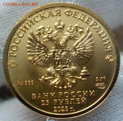 25 Рублей 2023 Победоносец 3,11 гр 999пр (5 мон) до 14.08.23 - IMG_20230813_153442