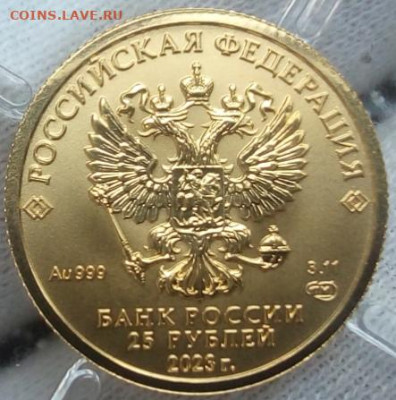 25 Рублей 2023 Победоносец 3,11 гр 999пр (5 мон) до 14.08.23 - IMG_20230813_153223