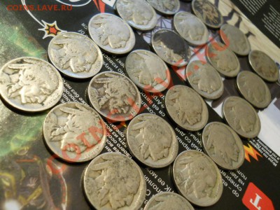 В архив - DSCN0003.JPG