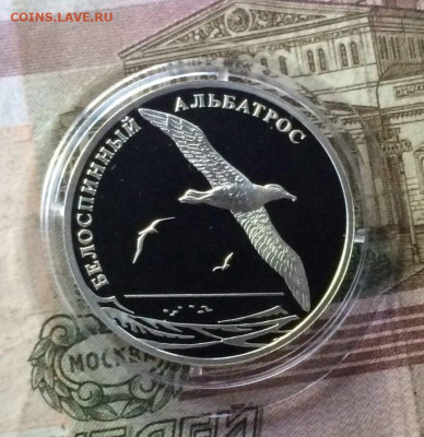 2 рубля 2010 год Красная книга Белоспинный альбатрос - 93