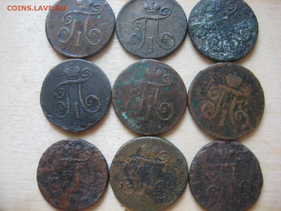 лот монет Деньга 1788 , 9шт - IMG_3343[1].JPG