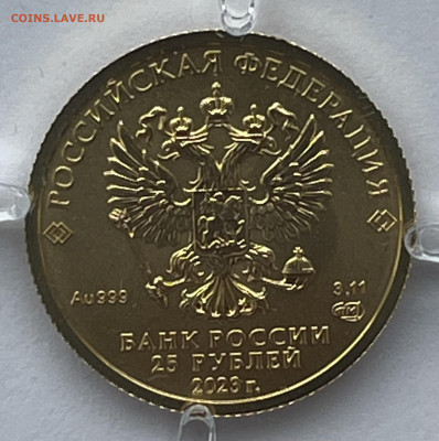 25 рублей Георгий Победоносец 2021 и 2023 (две монеты) - IMG_4877