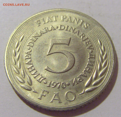 5 динар 1970 ФАО Югославия №1 29.08.23 22:00 М - CIMG7063.JPG