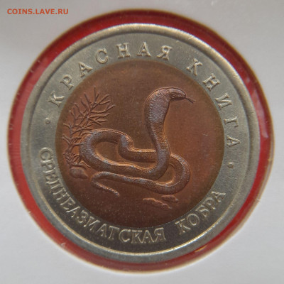 1992–РФ–10 руб. (Среднеазиатская кобра) – 30.08.23 до 22:00 - 1992-10 р-кобра-1