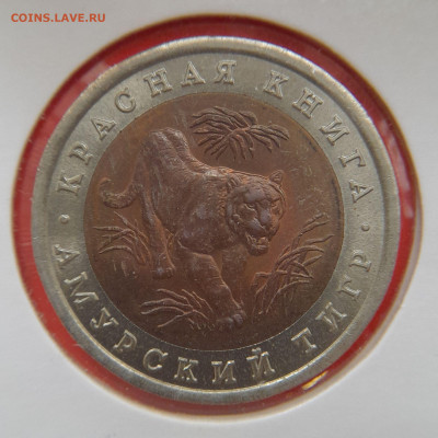 1992–РФ–10 руб. (Амурский тигр) – 30.08.23 до 22:00 - 1992-10 р-тигр-1